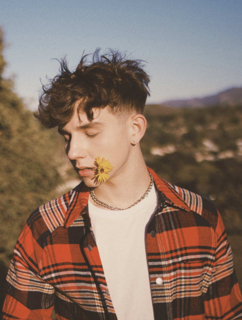 Case Studies – Rise